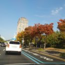 보리, 愛 이미지