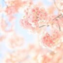 흥덕4단지 네이버블로그