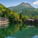 코리얼트립(COREAL TRIP) | 🚍 후쿠오카 근교 일일투어 회사 비교 — 유유투어 vs 유투어 vs 마이리얼트립 vs 클룩