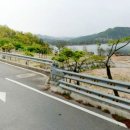 대산가축 이미지