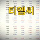 바다로19호선박투자회사 | 티엠씨 의 주요매출부문과 영업이익, 기업의 펀더멘털, 상반기 1Q, 2Q 실적전망 등 투자지표...
