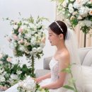 리아웨딩 이미지