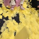 현대백화점대구점 | 아기와 인생 첫 문센 대구 현대백화점 울랄라베베 문화센터 후기