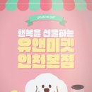 시바견 전문 가도켄넬 | 일산시바견분양, 매력 만점 시바견 첫눈에 반해 입양한 후기!