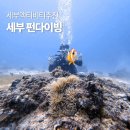그랑블루 | 세부 펀다이빙 뉴그랑블루 비용 후기