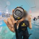 킹콩아쿠아 | 성남 아쿠아라인 프리다이빙 체험 후기 | 핑크프리다이빙