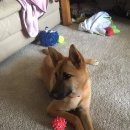 역전농장 이미지