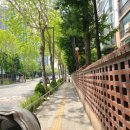 동수원중학교 건너편 이미지