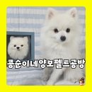 신매역 6번 출구 옆(엘리베이터 옆) | 강아지 미니액자를 직접 만들 수 있다고요? &#39;콩순이네 양모펠트공방&#39; 원데이클래스 후기