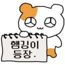 이브휴게실 이미지