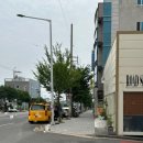 그루밍 애견미용 | [포항] 양덕동 애견미용 &#34;그루밍 루나&#34; 방문 후기
