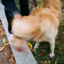 소근소근 이미지