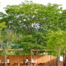 몽크네 이발관 이미지