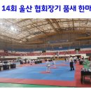 아리솔태권도장 이미지