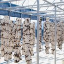 김제농장 이미지