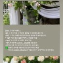 결혼준비 5-2탄:) 웨딩사진보정 맛집 ❣️어스민 스튜디오❣️ 후기