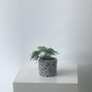 꽃바람화원 이미지