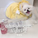 광주 반려동물용품 위글리펫 용봉점 | 광주 반려동물 수제간식 [위글리펫 계림점] 24시간 무인 반려 용품 구매 가능!