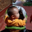 블랙파파도그하우스 이미지