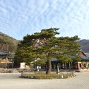 위봉사&위봉폭포&위봉산성 | [전북] 완주 위봉사 / 위봉폭포, 위봉산성과 함께 가기 좋은 사찰