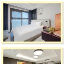 스테이(STAY)990 | 부산 숙박 추천 ㅡ 더 솔리드 레지던스 , 뉴시즈 오시리아 레지던스 정보