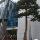 남산자동차부속골목 이미지