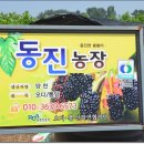 동진농장 이미지
