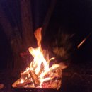 백운농협주유소 이미지