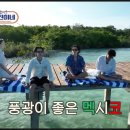 서진해외여행 이미지
