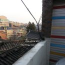 서래초교병설 이미지