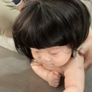 그린비스튜디오 이미지