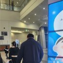 [내돈내산 리뷰] 뉴나 트래블 시스템 / 절충형 유모차, 트리브 넥스트 구입 후기