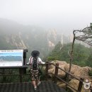 와우부산여행사
