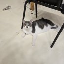 하이바이 동물위탁센터 대구점 이미지