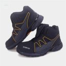 스콜피온 이미지