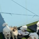 브루하하유치원 이미지