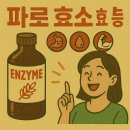 파로 효소 효능 : 고대 곡물 파로, 혈당관리, 다이어트