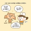 신사동 . 가로수길 핫플 . 플레이버스바이바프 . 무조건 주문해야 하는 메뉴 추천 (feat. 브런치)