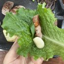 광양사랑병원 | 광양 고기집 광양 삼겹살 [육담 광양점] 방문 후기