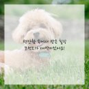 범석영치과의원 이미지