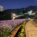 화순남산공원 공중화장실 이미지