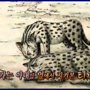 정이캣 이미지