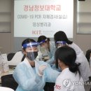 세빛메디칼 이미지