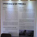 인술농장 네이버블로그