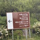 Oh!ROCK(오락) | 🌿 제천 리솜포레스트 레스트리 S30 228호 숙박 후기 (법인회원/ 2박3일)