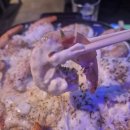 고삐 | [을지로 술집] "고삐" 방문후기