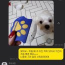 조이네집 이미지