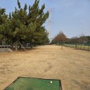 영광잔디 | 판테온 파크베어 PB700 시타 후기와 영광한빛파크골프장 코스정보 및 예약방법