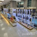 전국열쇠롯데마트