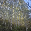 상가박사공인중개사사무소 이미지